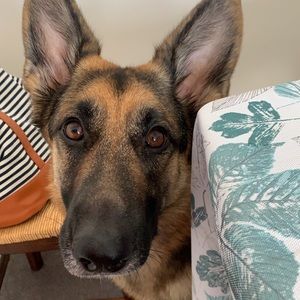 Meet your Posher, Natalia